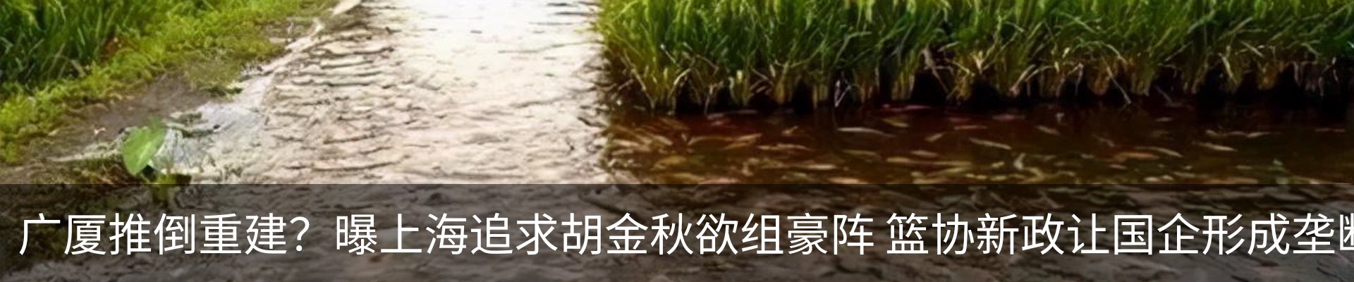 行业资讯